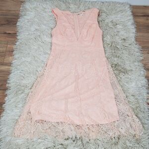 NIKIBIKI Women's Sheath dress Lace Pink  Small